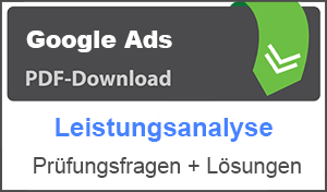 Lernhilfe PDF Google Ads Leistungsanalyse
