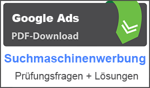 Lernhilfe PDF Google Ads SEM