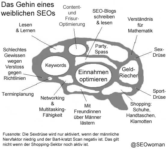 Gehirn SEO Nerdin