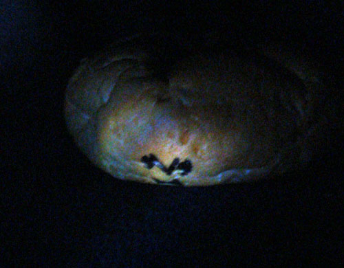 Böses Brötchen