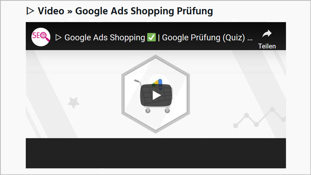 Video Google Ads Shopping Prüfung