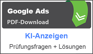 Lernhilfe PDF Google Ads KI-Anzeigen