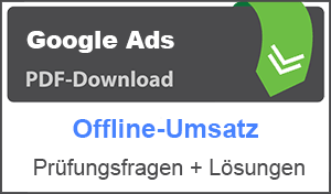 PDF Google Ads Offline-Umsatz