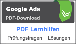 Google Prüfungen PDF Lernhilfen