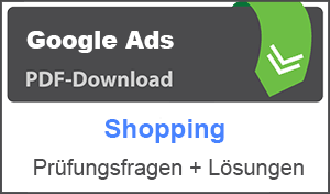 Lernhilfe PDF Google Ads Shopping