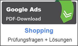 Lernhilfe PDF Google Shopping