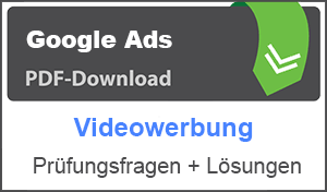 Lernhilfe PDF Google Ads Videowerbung