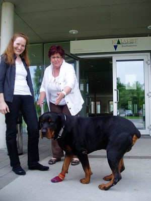 bayrische bauakademie mit hund