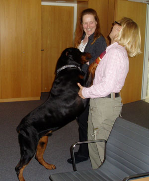 hund in der bauakademie