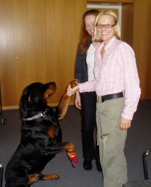 hund in der bauakademie