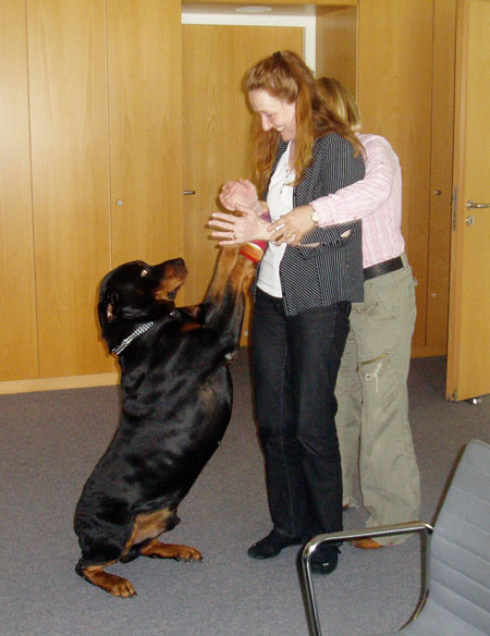 hund in der bauakademie